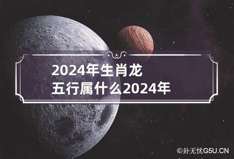 2024年什么命